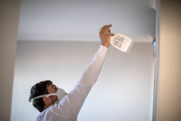 Reliable Yucca Valley, CA Mold Removal Solutions