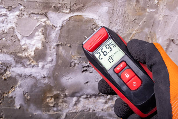 Best Mold Testing  in Yuc Valley, CA