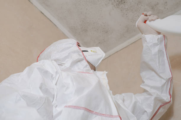 Best Toxic Mold Removal  in Yuc Valley, CA